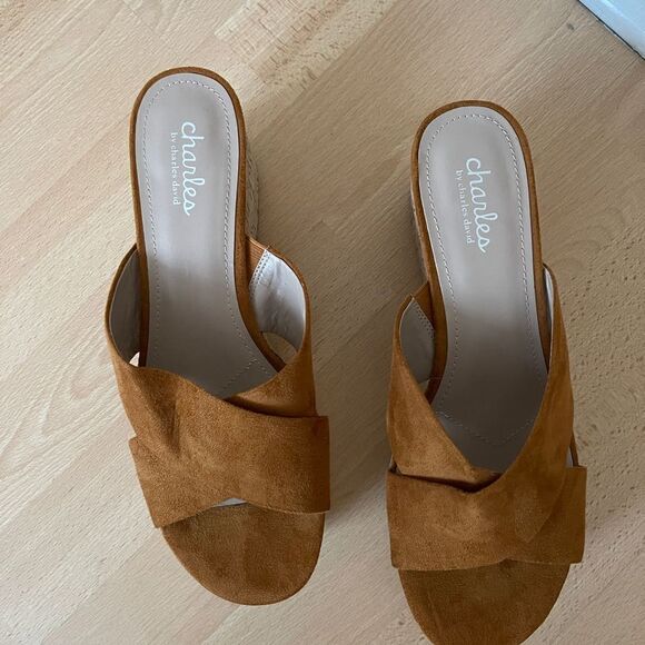 Charles by  Charlie David Espadrille Wedge Platform Sandals Sz 10M New - Picture 1 of 5